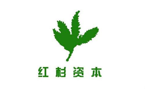 点击查看原图