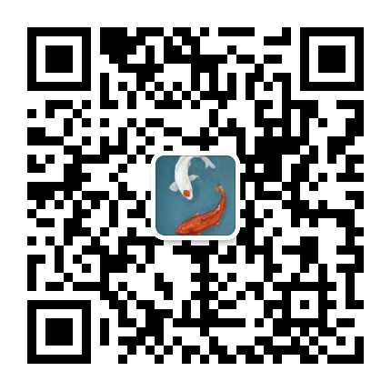点击查看原图