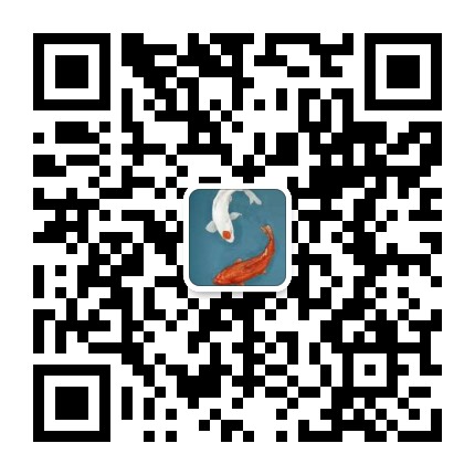 点击查看原图