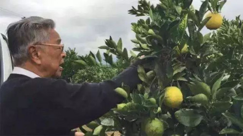 点击查看原图