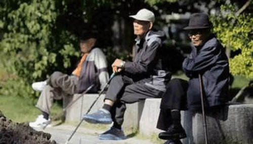 点击查看原图