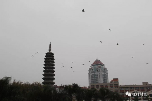 点击查看原图